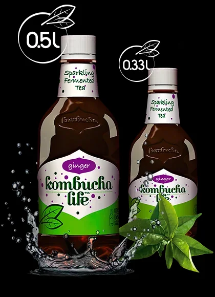 Kombucha cu ghimbir 500ml Kombucha Life