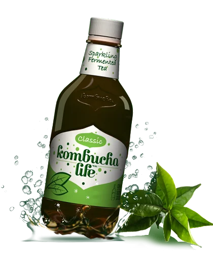 Kombucha clasic 500ml Kombucha Life