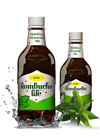 Kombucha cu soc 500ml Kombucha Life