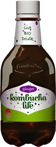 Kombucha cu ghimbir bio 330ml Kombucha Life
