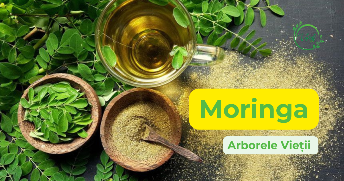 Moringa – Arborele Vieții